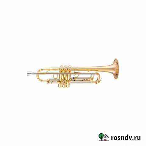 Amati ATR313 Труба Bb,лак зопото пр-во чехияевропа Казань