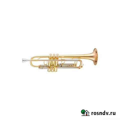 Amati ATR313 Труба Bb,лак зопото пр-во чехияевропа Казань - изображение 1