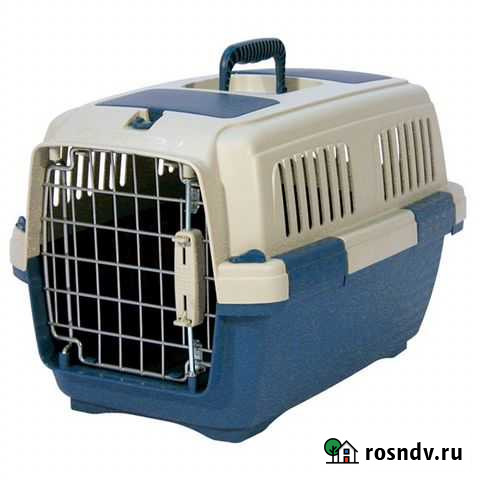 Переноска Бокс Clipper все размеры аренда Екатеринбург - изображение 1