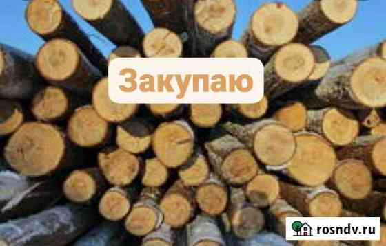 Кругляк, пиловочник Сарапул