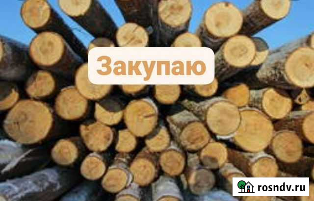 Кругляк, пиловочник Сарапул - изображение 1