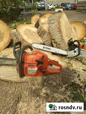 Расчистка участков Сочи - изображение 1