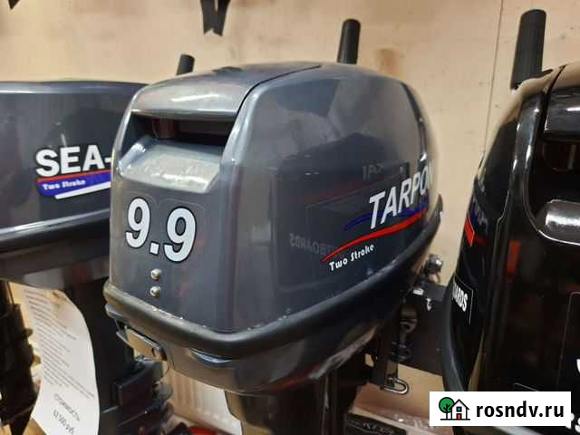 Лодочный Мотор tarpon 9.9S Челябинск - изображение 1