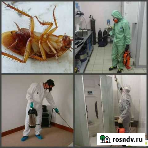 Дезенфекция Новокузнецк - изображение 1