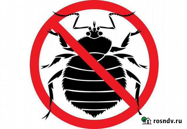 Уничтожение насекомых Прокопьевск - изображение 1