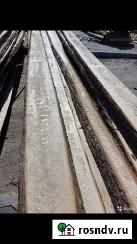 Продам липу Чамзинка - изображение 1