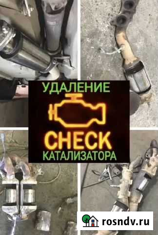 Катализатор+прошивка Оренбург - изображение 1