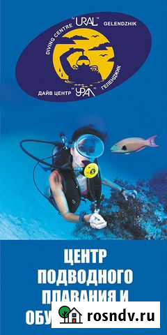 Дайвинг в Геленджике и Кабардинке Геленджик - изображение 1
