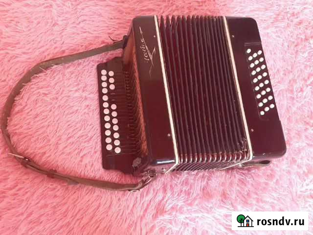 Гармонь чайка Змеиногорск - изображение 1