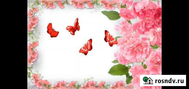 Видео/ролики на заказ Магадан - изображение 1