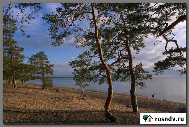 Участок ИЖС 10 сот. на продажу в Сосновом Бору Сосновый Бор - изображение 1