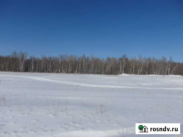 Участок СНТ, ДНП 1000 сот. на продажу в Шадринске Шадринск - изображение 1