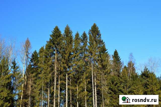 Участок ИЖС 6 сот. на продажу в Некрасовском Московской области Некрасовский - изображение 1