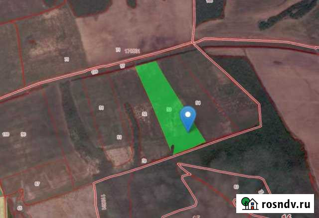 Участок СНТ, ДНП 1600 сот. на продажу в Нижних Вязовых Нижние Вязовые - изображение 1