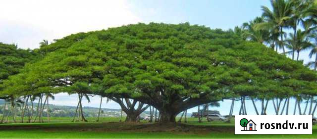 Дом 50 м² на участке 10 сот. на продажу в Новоуральске Новоуральск - изображение 1