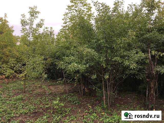 Участок ИЖС 8 сот. на продажу в Люберцах Люберцы - изображение 1