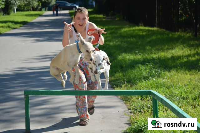 Кинолог-зоопсихолог, коррекция поведения собак Москва - изображение 1