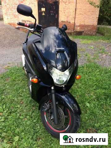 Honda-Faze максискутер Кедровый - изображение 1