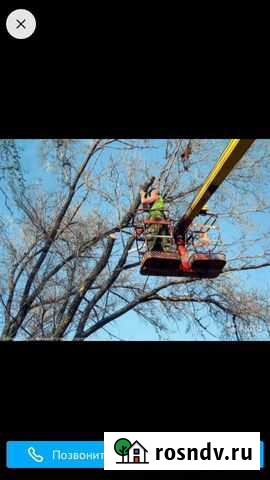 Спил деревя. в любой сложности Нальчик - изображение 1