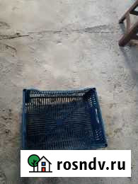 Ящик пластиковый Краснодар - изображение 1