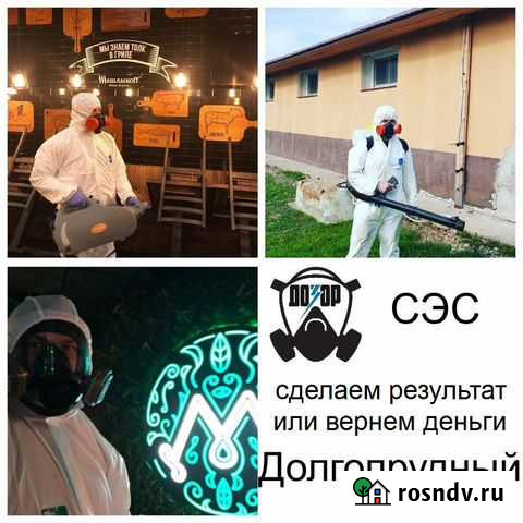 Уничтожение Клопов Тараканов Клещей Кротов Мышей Долгопрудный - изображение 1