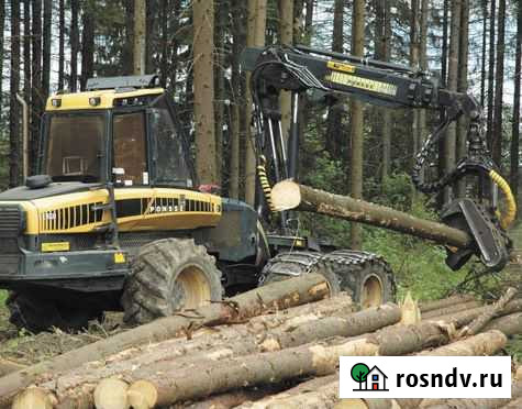 Вырубка древесины Юго-Камский - изображение 1