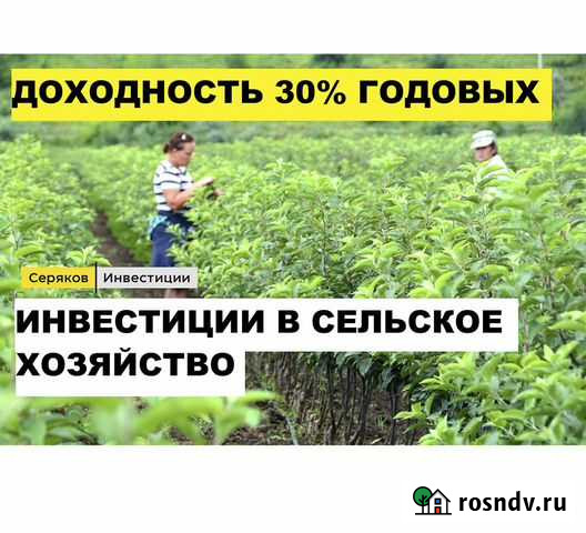 Инвестиции в действующий бизнес.20-30 годовых Санкт-Петербург - изображение 1