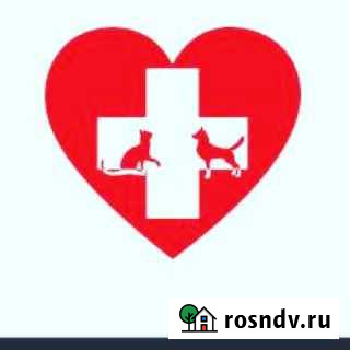 Ветеринарный врач Симферополь - изображение 1