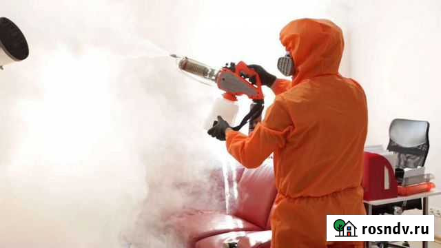 Дезинфекция клопов, тараканов,блох,осы шершни Ивантеевка - изображение 1