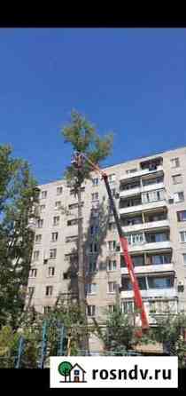 Спилить дерево. Обрезка дерева Саратов
