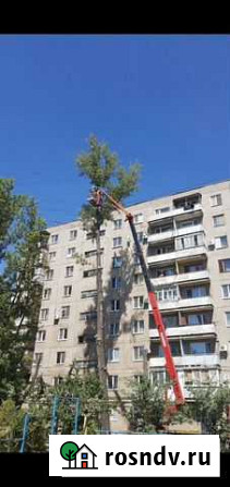 Спилить дерево. Обрезка дерева Саратов - изображение 1