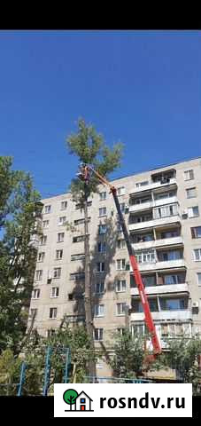 Спилить дерево. Обрезка дерева Саратов - изображение 1