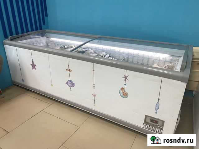 Морозильная камера и витрина Калуга - изображение 1