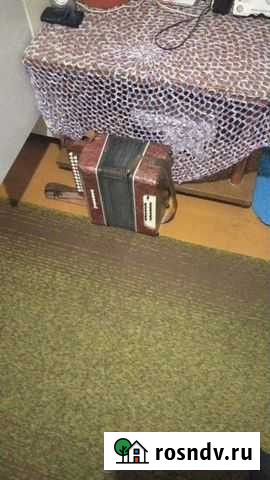 Гармонь Ромашка Белгород - изображение 1