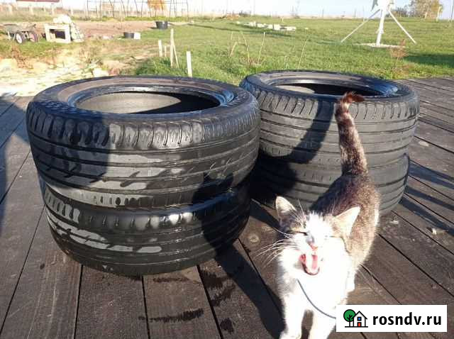 Yokohama AC02 C.Drive 2 215/60 R16 99V Псков - изображение 1