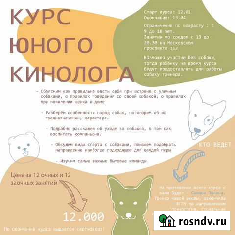 Кинолог. Дрессировка собак Воронеж - изображение 1