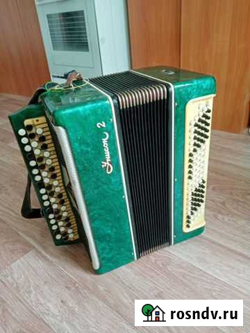 Баян Белый Яр - изображение 1