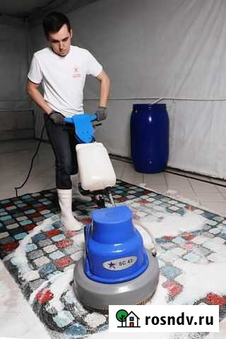 Профессиональная чистка ковров в цехе с доставкой Ульяновск - изображение 1