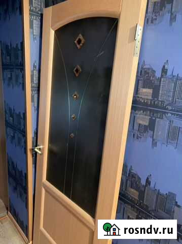 Дверь Брянск - изображение 1