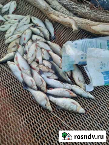 Казанка М Волжский - изображение 1