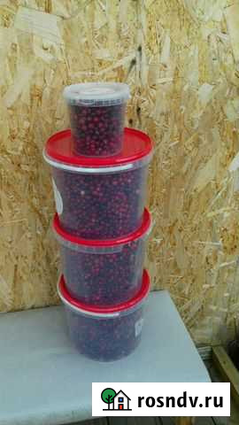 Клюква Петрозаводск - изображение 1