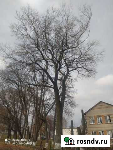 Сантехник.Земляные работы.Сварочные работы.Спил де Семилуки - изображение 1