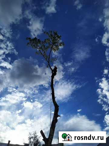 Спил аварийных деревьев, расчистка участков Киров - изображение 1