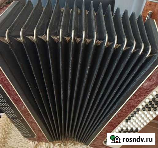 Баян Чита - изображение 1