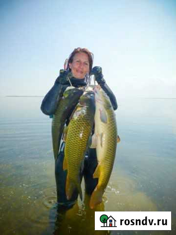 Рыбалка и подводная охота в Астраханской области Оранжереи - изображение 1