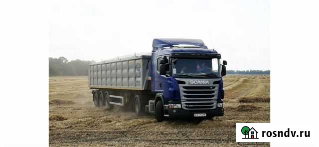 Перевозка подсолничника,зерновых культури выкуп Оренбург - изображение 1