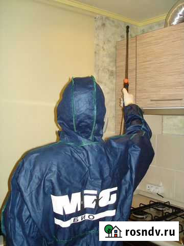 Уничтожение тараканов Самара - изображение 1