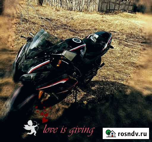 Ekonika pegas motors zx 250. 1 Прогресс - изображение 1