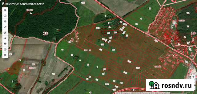 Ищу компаньона Калининград - изображение 1