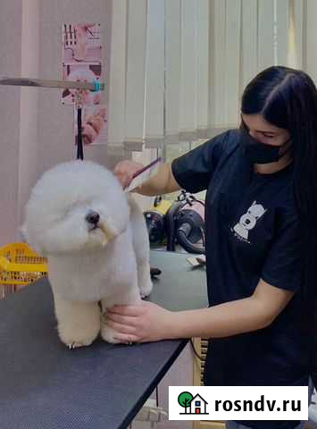 Стрижка собак и кошек Белгород - изображение 1